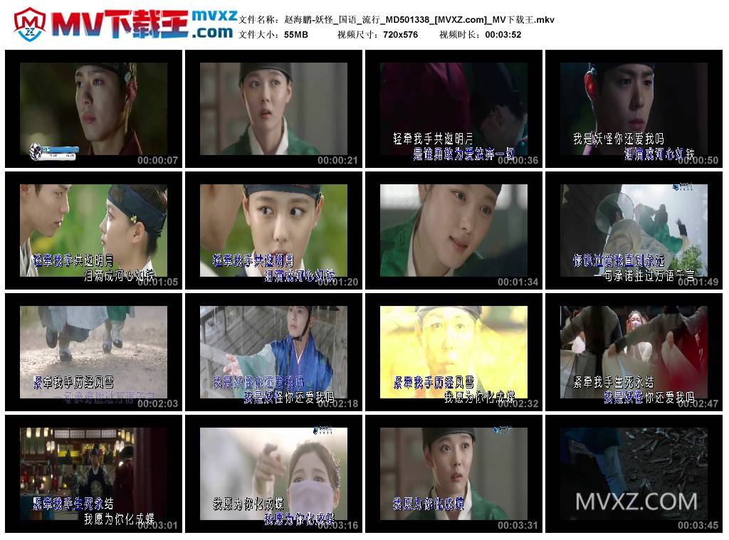 赵海鹏-妖怪_国语_流行_MD501338